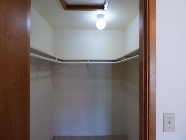 Willow Tree - Residential