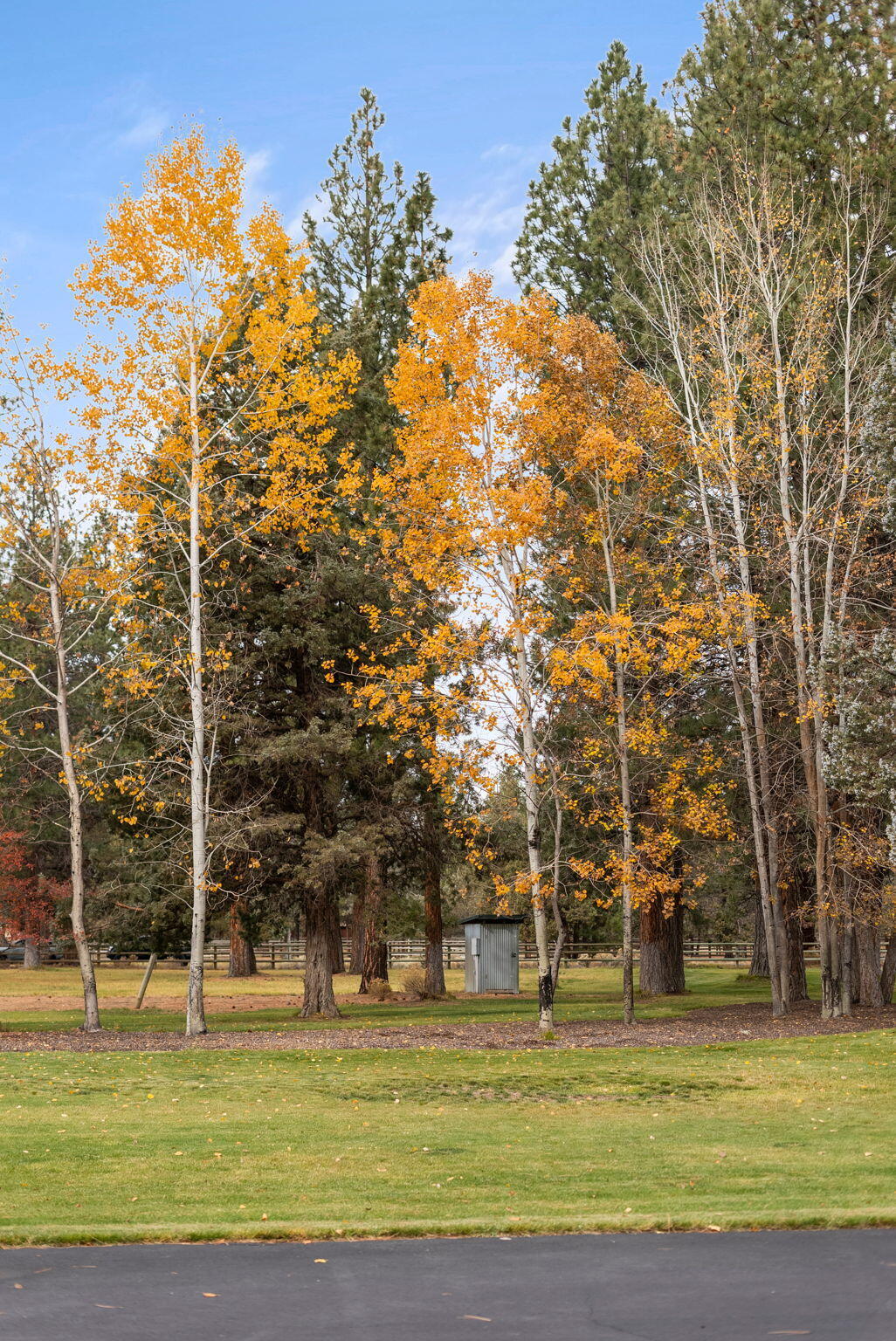 Indian Ford Meadows - Residential