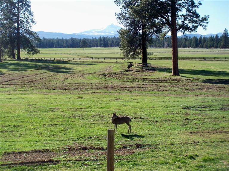 Pine Meadow Vill - Residential