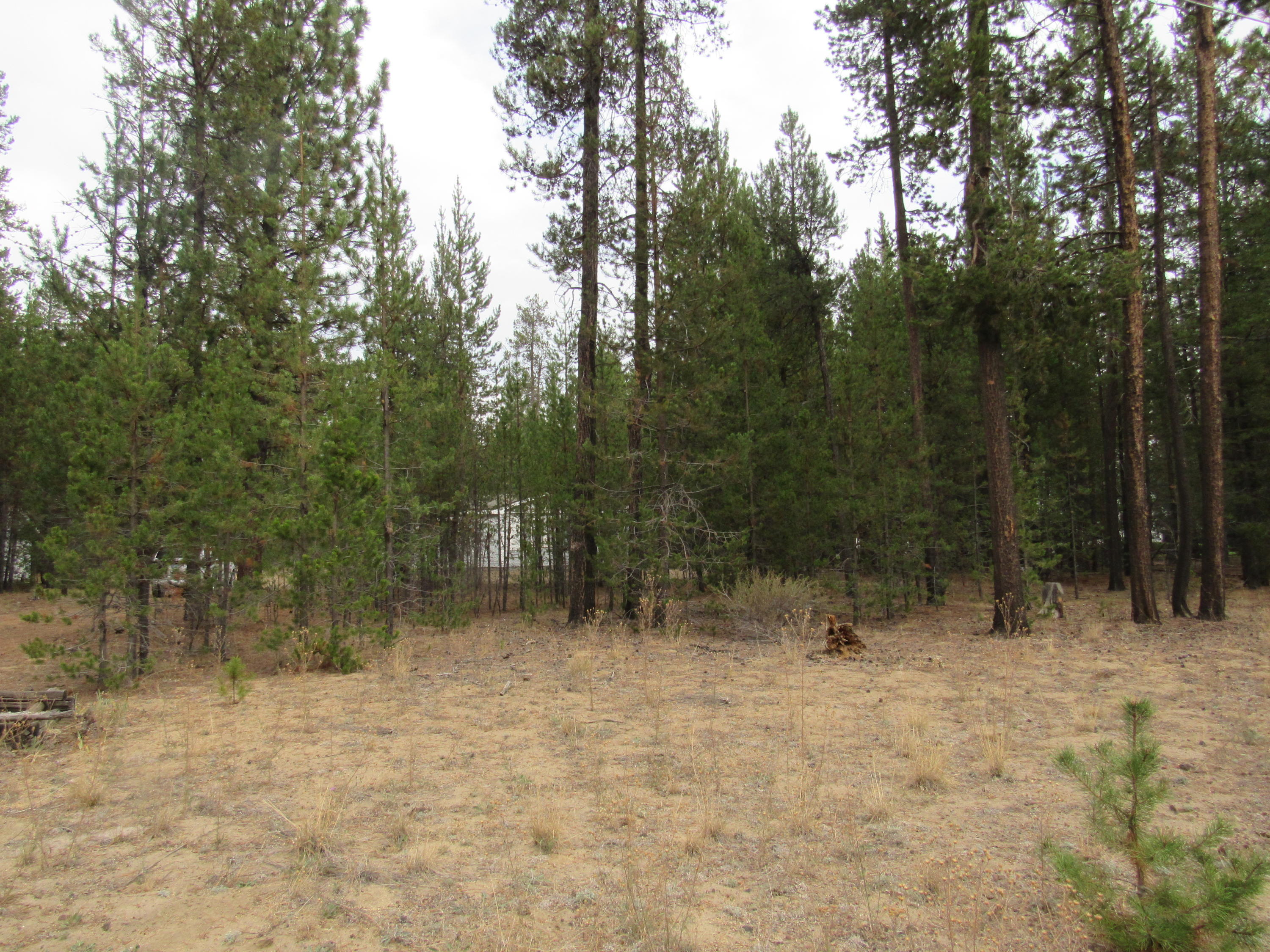 Desc Rvr Hmst Rimrk - Residential