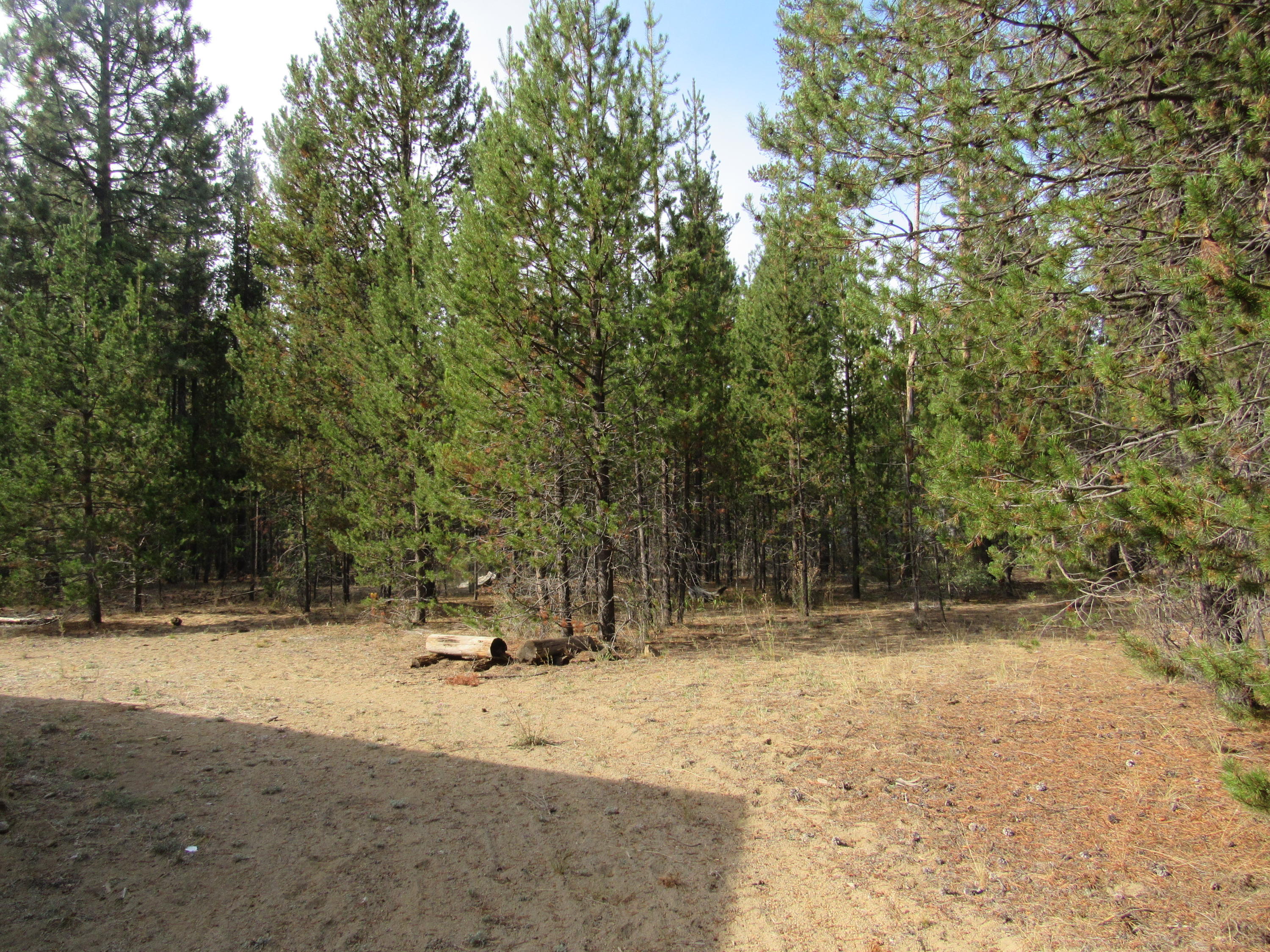 Desc Rvr Hmst Rimrk - Residential