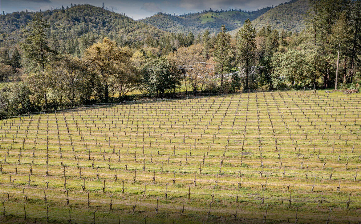Applegate Park Subdivision - Farm
