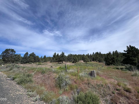 Tiny photo for Drews Road #27, Sprague River, OR 97639 (MLS # 220230041)