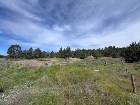 Tiny photo for Drews Road #27, Sprague River, OR 97639 (MLS # 220230041)
