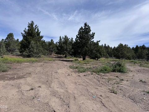 Tiny photo for Drews Road #27, Sprague River, OR 97639 (MLS # 220230041)