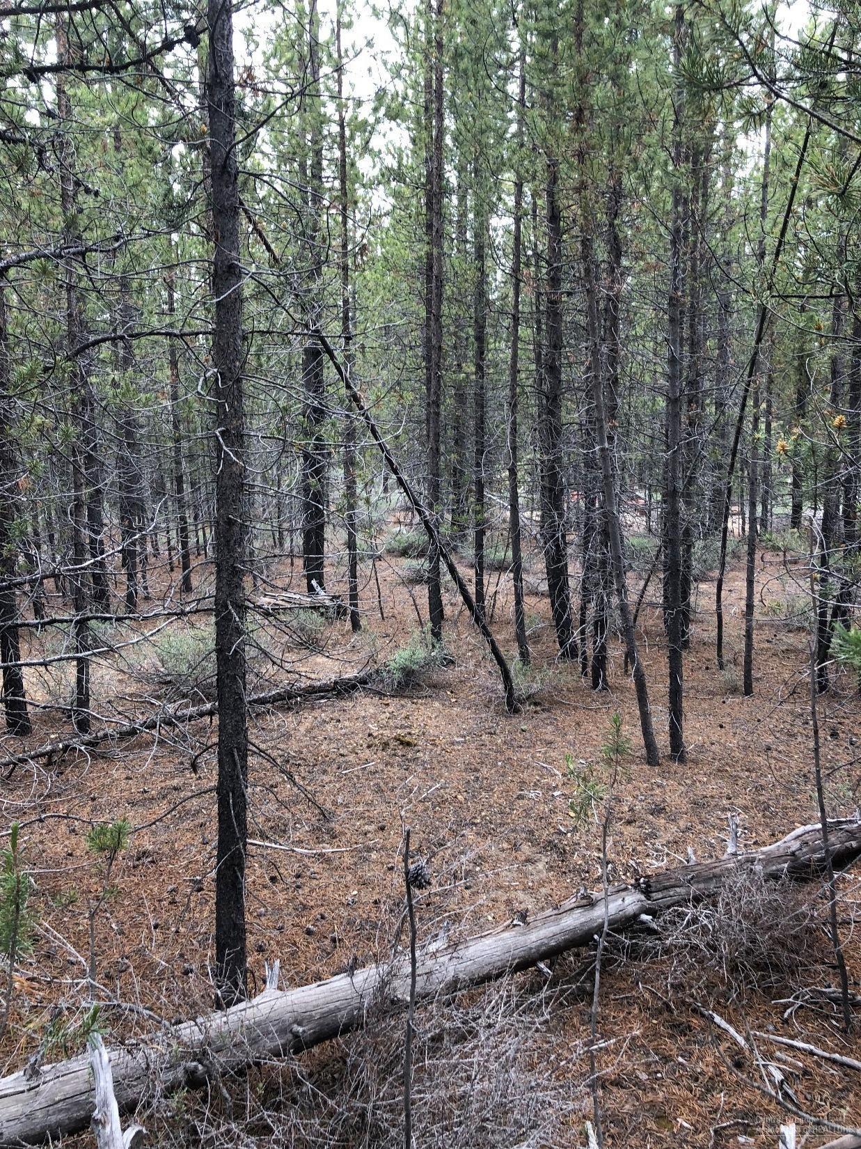 Two Rivers North - Land