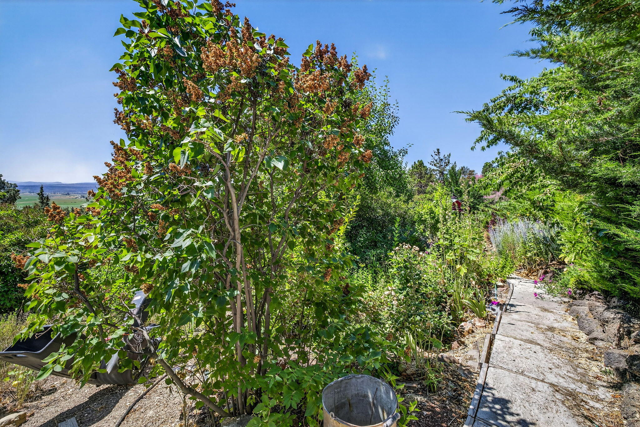 Golden Horseshoe - Residential