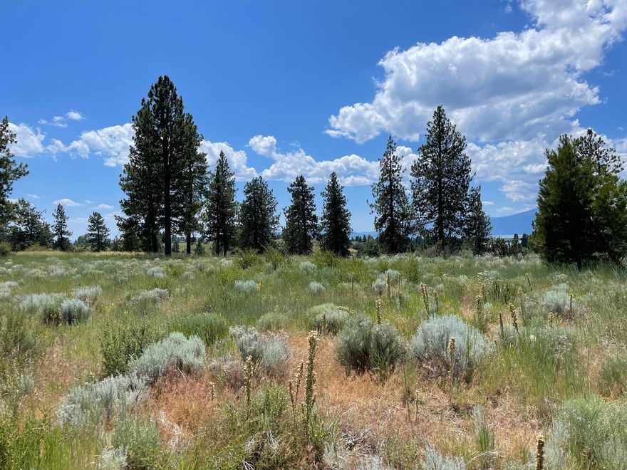 Hilltop views of Agency Lake and snowcapped peaks. This large 1.01-Acre lot is one of the finest parcels for several miles. Unobstructed views of Agency Lake. This is a premium choice lot in an area of custom-built homes. Perfect location for a large two-story home with expansive decking. Power and phone are extremely close. Well and septic is needed.
This is the parcel of choice, the best, the top of the hill overlooking all the rest. It would be challenging to get or find a more premium parcel. You get what you pay for. This one has the location. Do not delay.
Approx. Center Long:
-121.9198
Approx. Center Lat:
42.5465

Do not let a few thousand dollars delay or stand in front of your dream parcel. Do not settle for less than this one.

Drive by, walk it, visit it in the morning and watch the sunrise. Then do the same for the sunset. You'll be amazed.