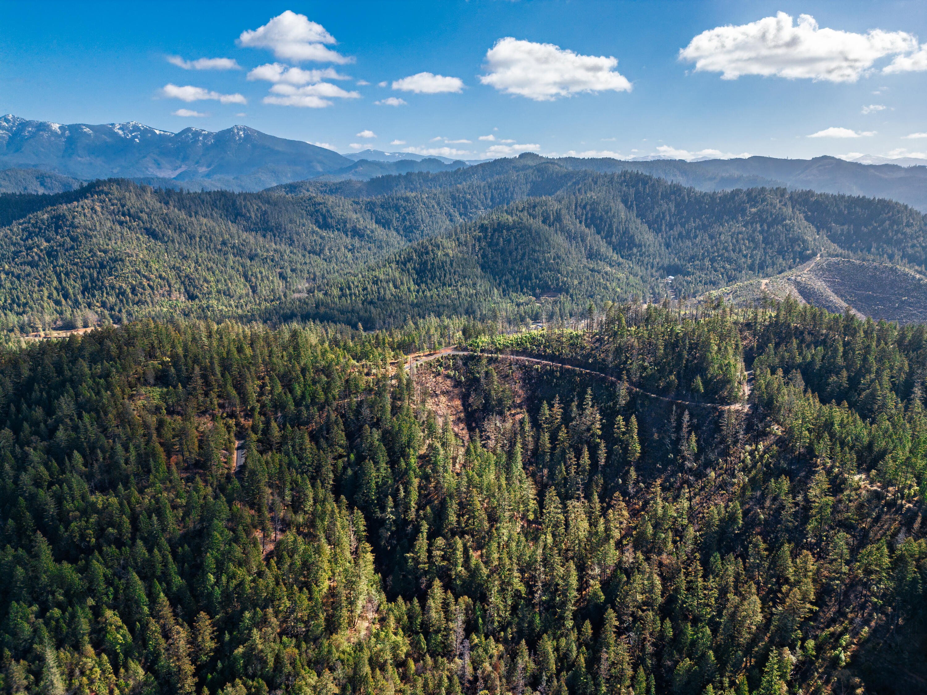 Selma, Original Townsite - Land