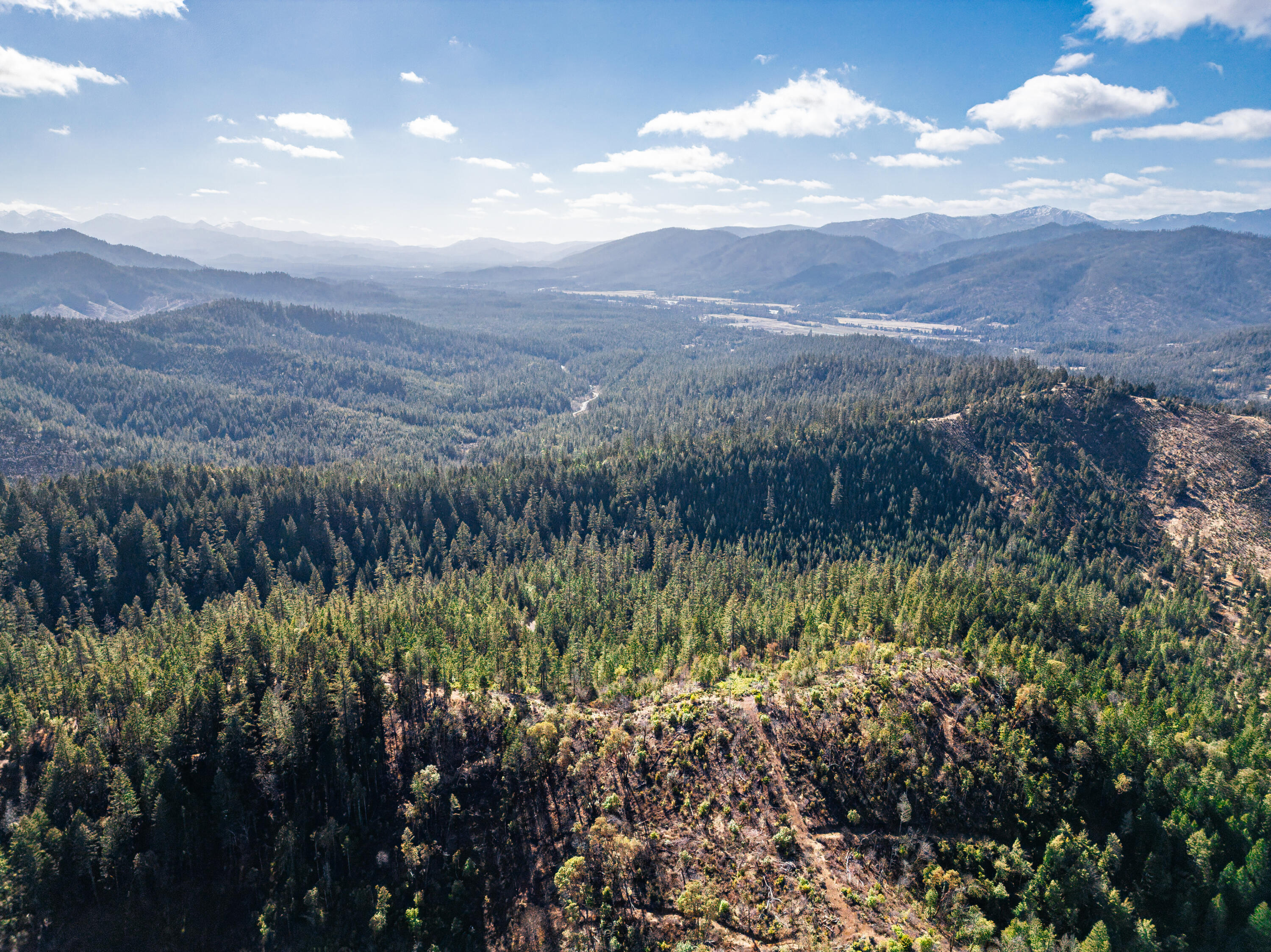 Selma, Original Townsite - Land