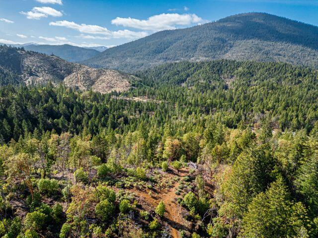 Selma, Original Townsite - Land