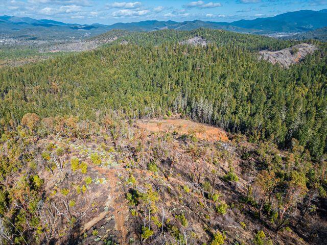 Selma, Original Townsite - Land