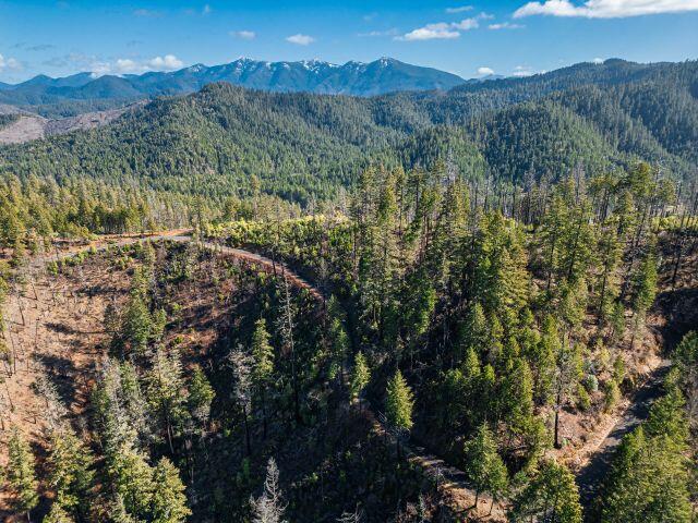 Selma, Original Townsite - Land