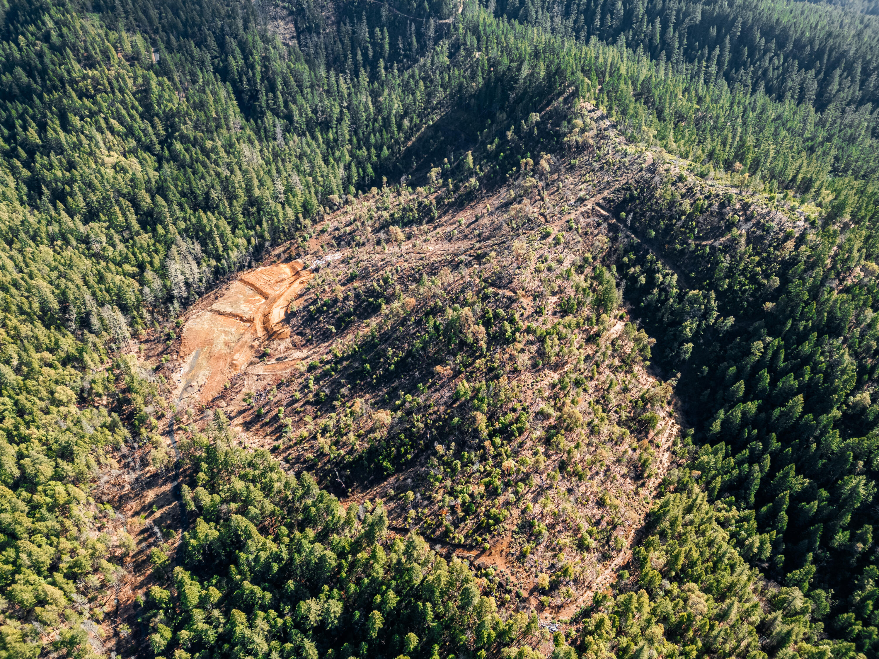 Selma, Original Townsite - Land