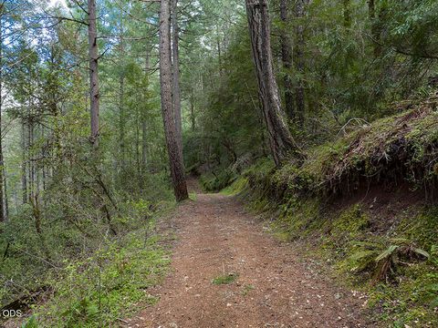 Tiny photo for 910 Reeves Creek Road, Selma, OR 97538 (MLS # 220223573)