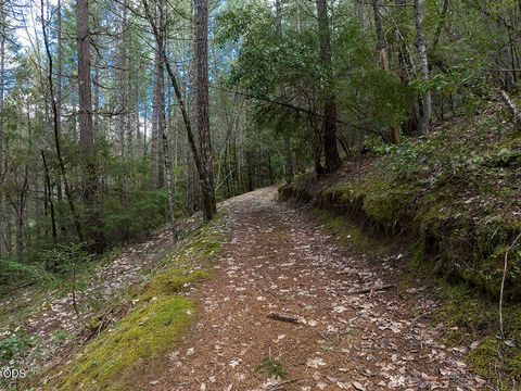 Tiny photo for 910 Reeves Creek Road, Selma, OR 97538 (MLS # 220223573)