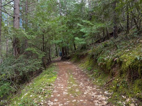 Tiny photo for 910 Reeves Creek Road, Selma, OR 97538 (MLS # 220223573)
