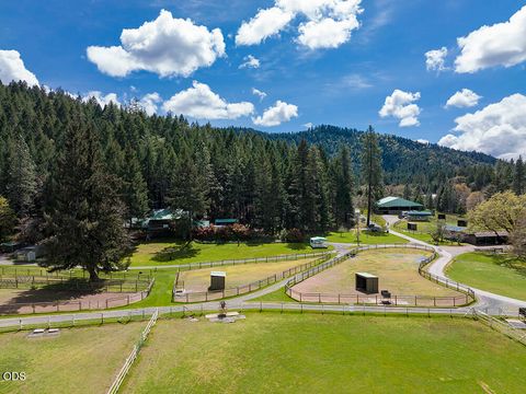 Tiny photo for 910 Reeves Creek Road, Selma, OR 97538 (MLS # 220223573)