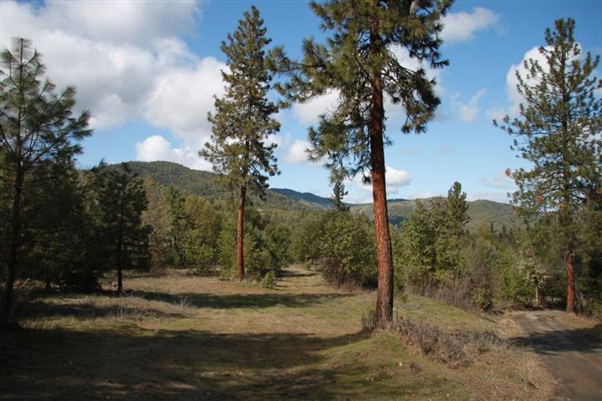 24 Plus Acres just under 2 miles outside of the historic town of Jacksonville. What a location!!! Private homesite, with easy access off of HWY 238. Build your DREAM home. This is an estate quality parcel that the most discriminating buyer will appreciate. Terrain ranges from a moderate slope to steep with beautiful mountainous views. It is lush with Madrone, Manzanita, Oak, Fir & Pine trees. Bring your architect and create a masterpiece! Homesite approval in place and their is a well that could reduce the cost of drilling a new one. Buyer will need to obtain septic approval and power easement. Driveway is shared by only 3 other parcels. Elevation appears to be around 2000 feet. APPOINTMENT needed to view, must get the location from your Realtor and be accompanied by your Realtor for all showings.