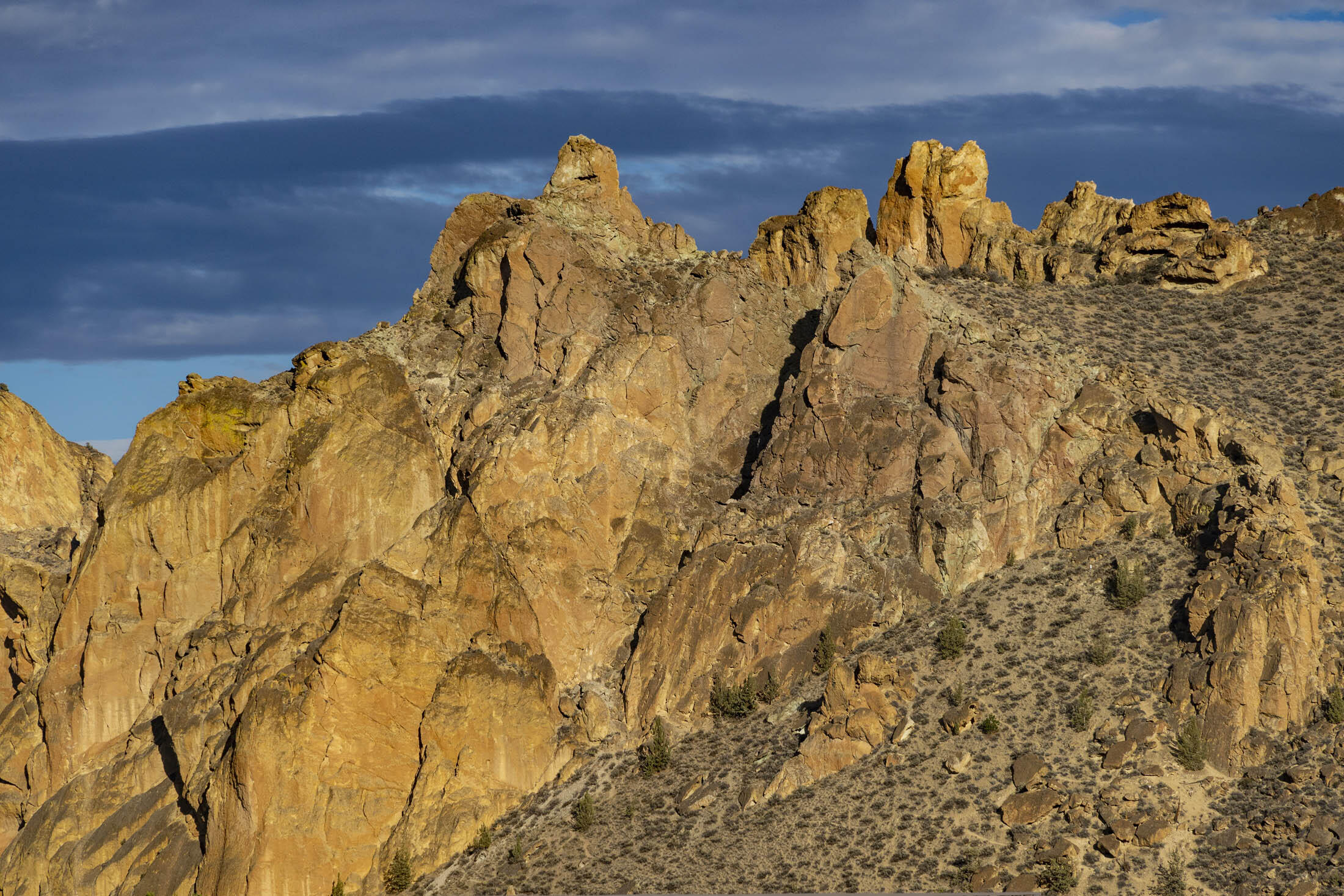 Harris Estate - Residential