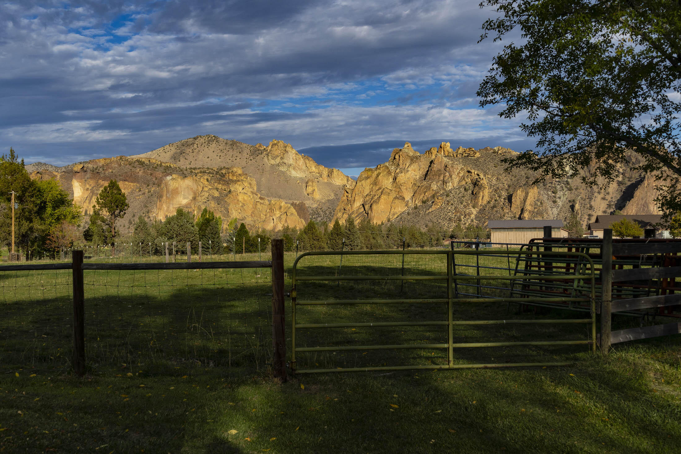 Harris Estate - Residential