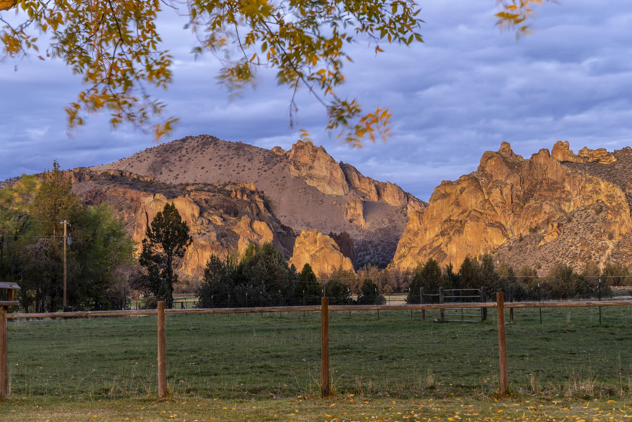 Harris Estate - Residential
