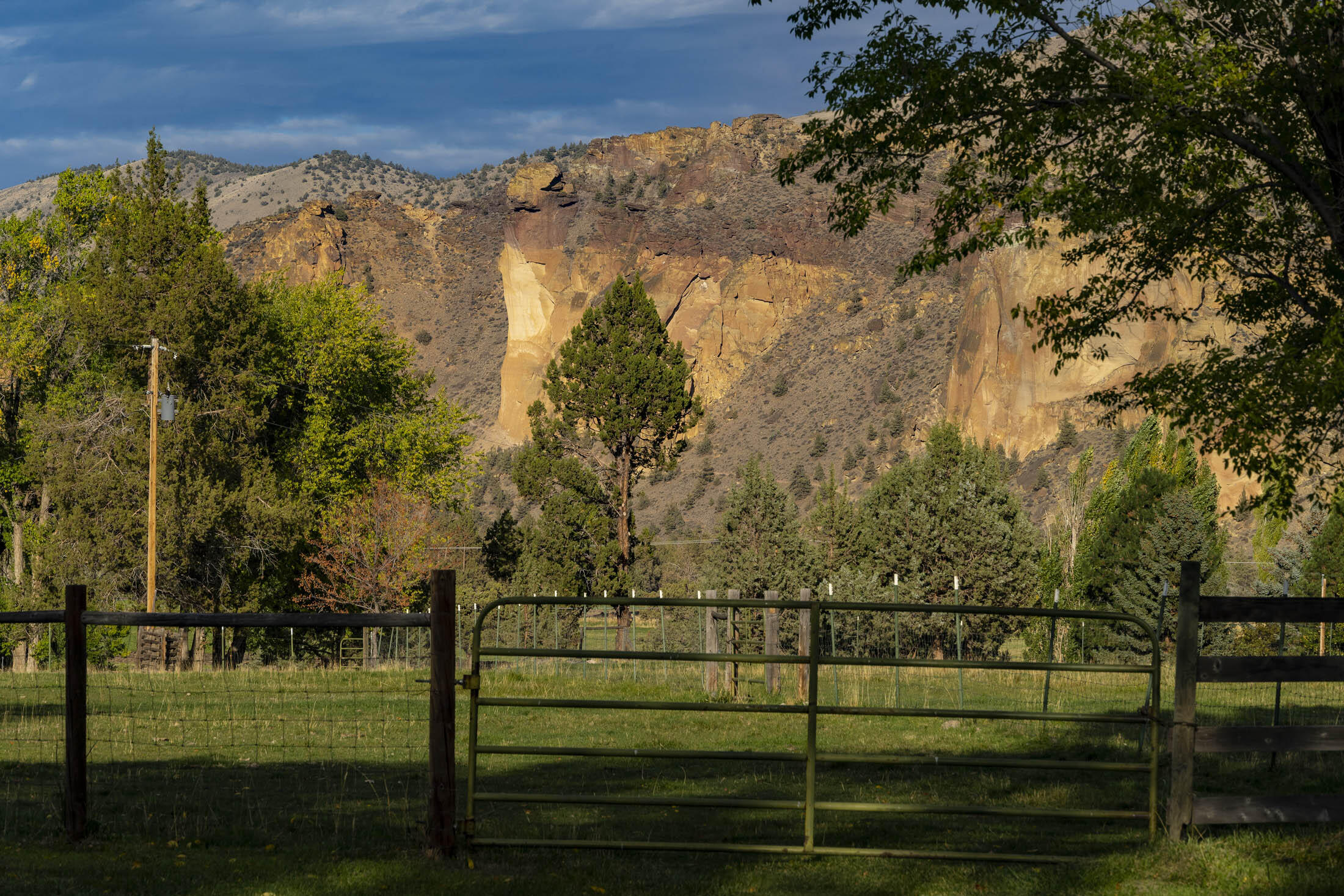 Harris Estate - Residential