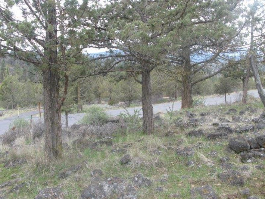 This Home Site at the Running Y Ranch Resort is the perfect location for stunning views of the golf course and mountains. Hole #14, at the Arnold Palmer designed golf course, is just steps away. Take advantage of the paved walking path that surrounds the back nine of the course. The southern exposure is wonderful for watching sunsets and for providing warm winter sun. West and North of the lot is dedicated green space with bike/walking paths, providing a private location. Enjoy all of the resort amenities... golf course, indoor pool, spa, fitness center, tennis and pickle-ball courts...along with all the outdoor sports and activities in beautiful southern Oregon. This is undoubtedly the best buy at at the Running Y!