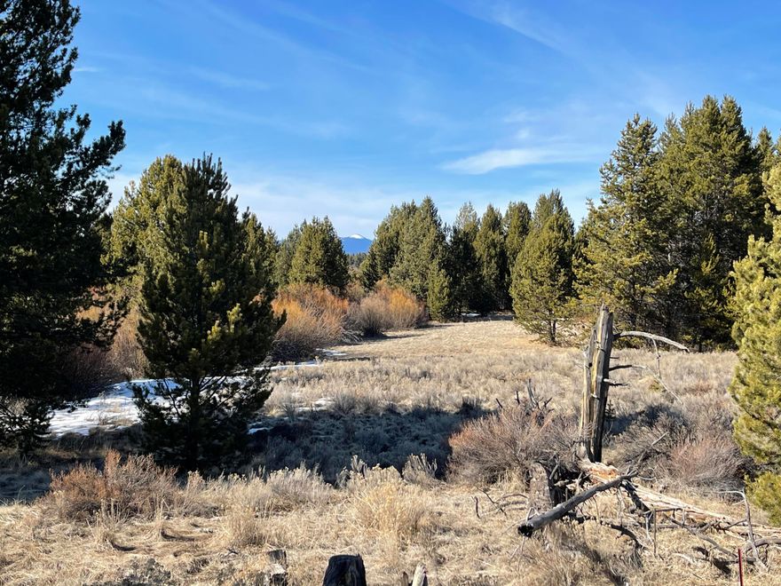 Spectacular parcel, close in, big meadow views with many possibilities.