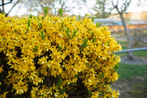 Tiny photo for 22 SW Elm Street, Grants Pass, OR 97526 (MLS # 220217659)