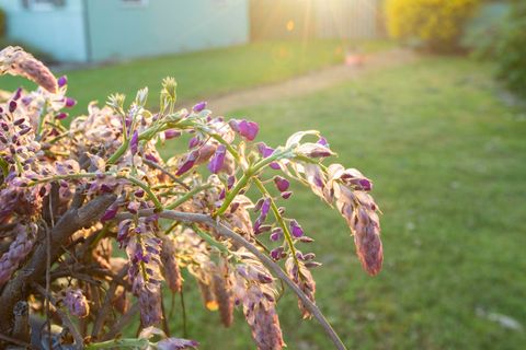 Tiny photo for 22 SW Elm Street, Grants Pass, OR 97526 (MLS # 220217659)