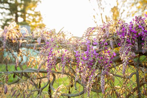 Tiny photo for 22 SW Elm Street, Grants Pass, OR 97526 (MLS # 220217659)