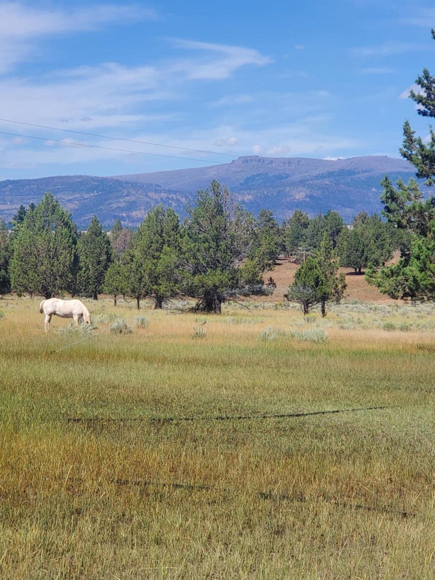 PRICE DROPPED !Unique  Single wide mobil with covered roof that has been here since 1972.
2 bed 1 bath house was remodeled by owner to a 1 bed 1 bath by making the living room larger to a 25 x10 room and the bathroom more spacious. Buyer can put back to a 2 bed/1ba easily. An attached unfinished 4 walled section on foundation ( approx. 60 ft) can expand original footprint to a bigger home too. Comes with a SHE SHED guesthouse for overnight guests. Property includes an orchard with Fruit tress galore - Peach, Nectarine, Plum, Cherry, Apple and Almond. Asparagus there too. Seller to include buildable barn  or Ag storage that is 26 x 30 ft.
Additional livestock building is there already with 3 sections.
The land and property is fully fenced with field fencing to protect animals, orchard, pasture, and landscaped areas from deer.
Some 12 ft - 16ft livestock panels included