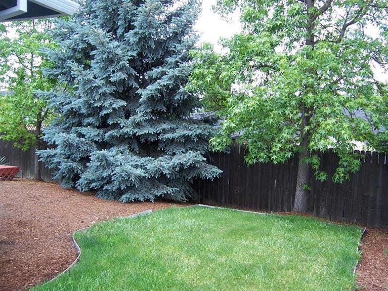 Cascadia Circle Subdivision - Residential