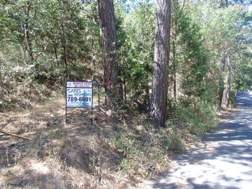 Adjoining lot also available. Some slope. Buyer to do a thorough due diligence with the city. Can be purchased with adjoining lot for $70,000. for both. Sign is on access to both .54 & .38 ac lots.