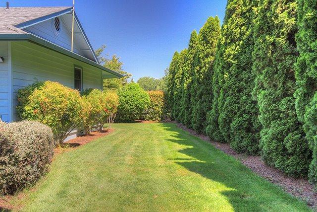 Reed Subdivision - Residential