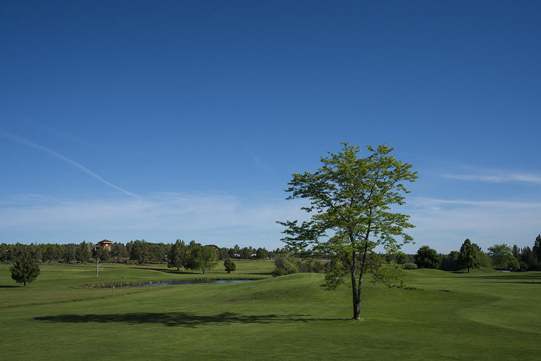 Eagle Crest - Land