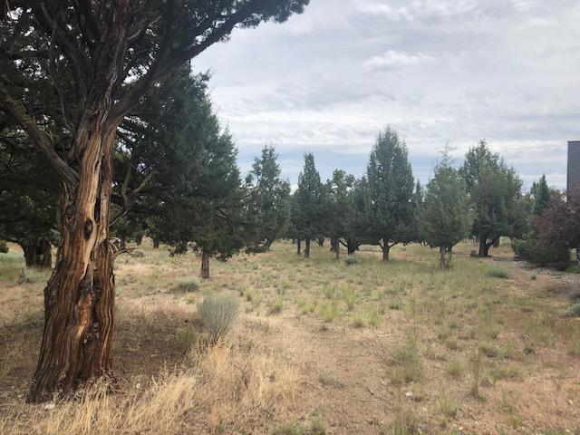 Eagle Crest - Land