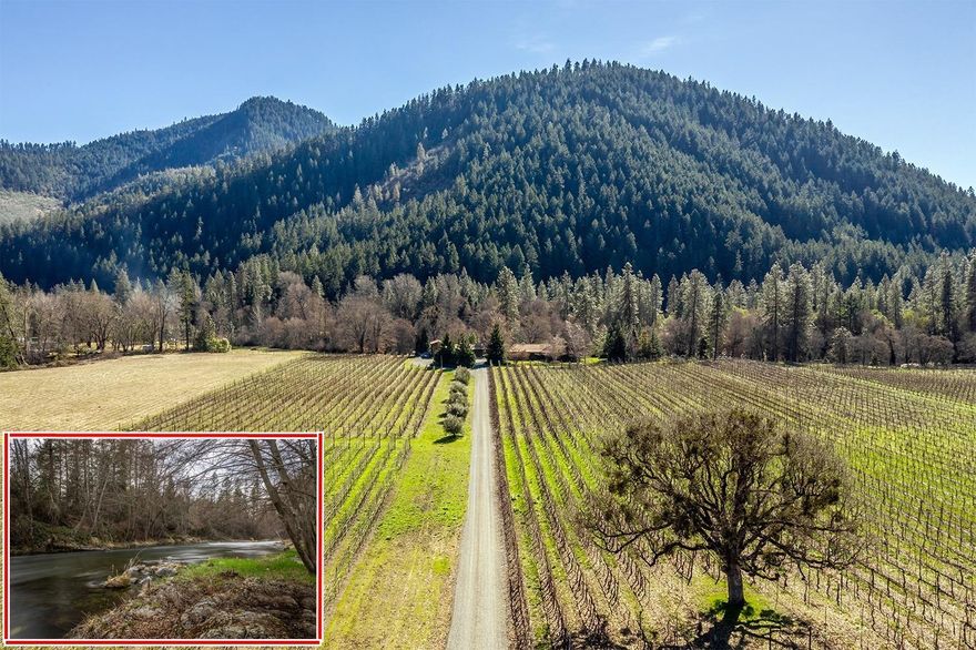 Superior grapes produce award winning wine! Steelhead Run Vineyard lies in the heart of the Applegate Valley on the Applegate River. The 46+ acre estate offers approximately 1000 ft of gorgeous river frontage & has a history of producing award winning wines that have made the Wine Enthusiasts list of the TOP WINES OF THE WORLD. The vineyard was established in 1993 & currently produces 10 varietals with a focus on Rhone Varietals. This years crop estimate is 125 tons!! This rare 3 tax lot property w/ 2 separate homesites boasts 36 acres of Historic water rights dating back to 1918 & the entire property is LIVE Certified & Salmon-Safe Certified. Fantasy meets function in this private custom ranch style home w amazing mountain & River views & an expansive deck to take in the fabulous river. Additional outbuildings include 28 x 60 four bay garage w/ enclosed RV parking, 30 x 40 historic pole barn & a 60 x 120 feeder barn. Don't miss this exceptional opportunity!