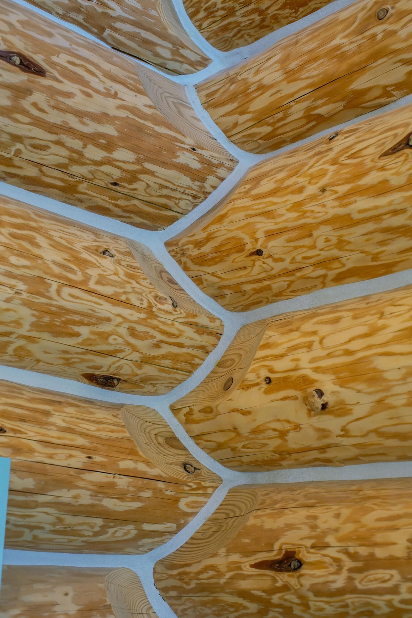 Equestrian Meadows - Residential