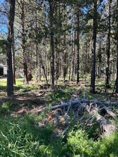 Deschutes River Recreation Homesites - Land