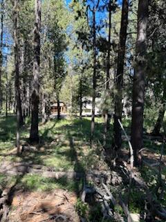 Deschutes River Recreation Homesites - Land