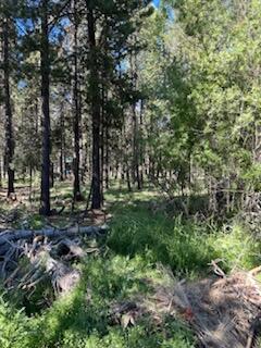 Deschutes River Recreation Homesites - Land