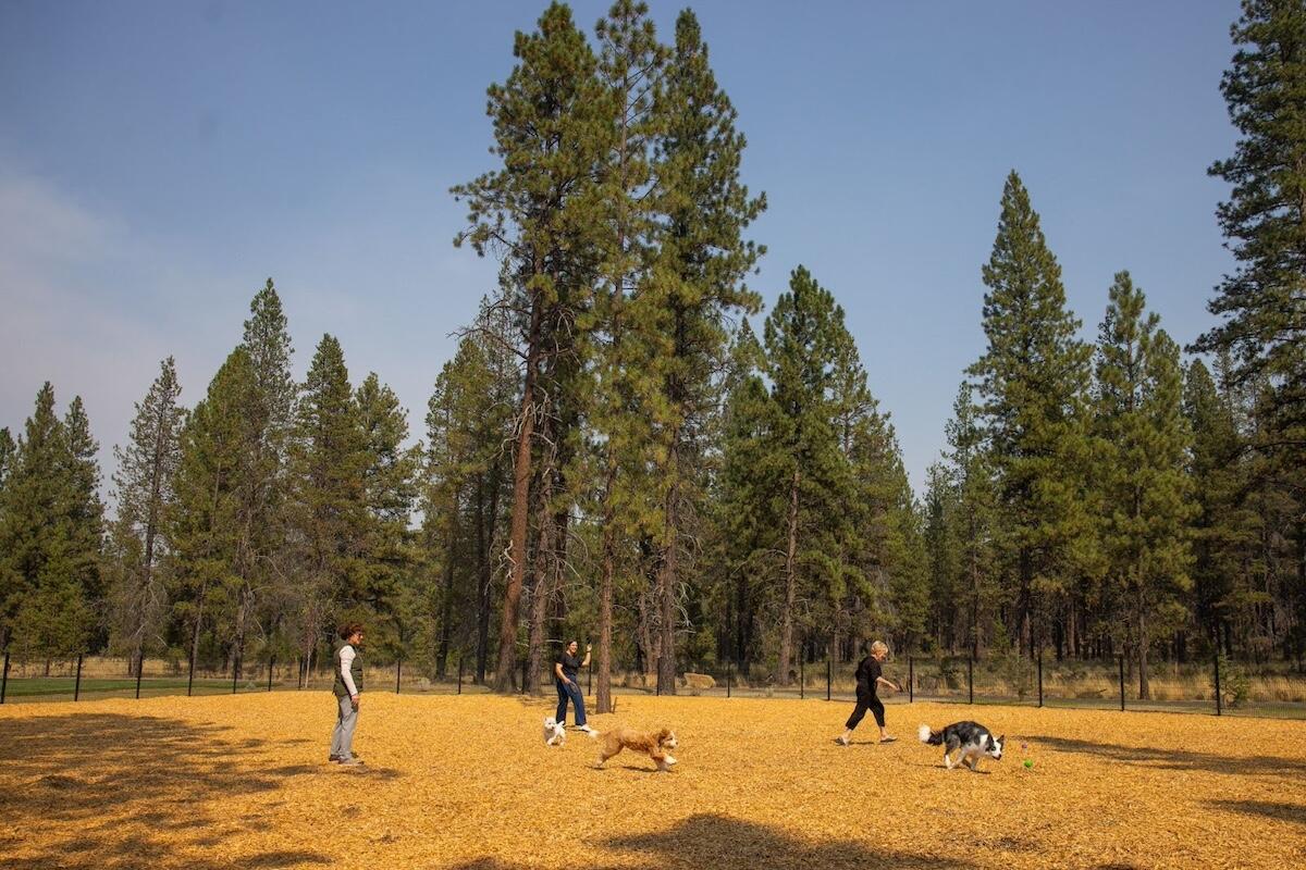 Caldera Springs - Land
