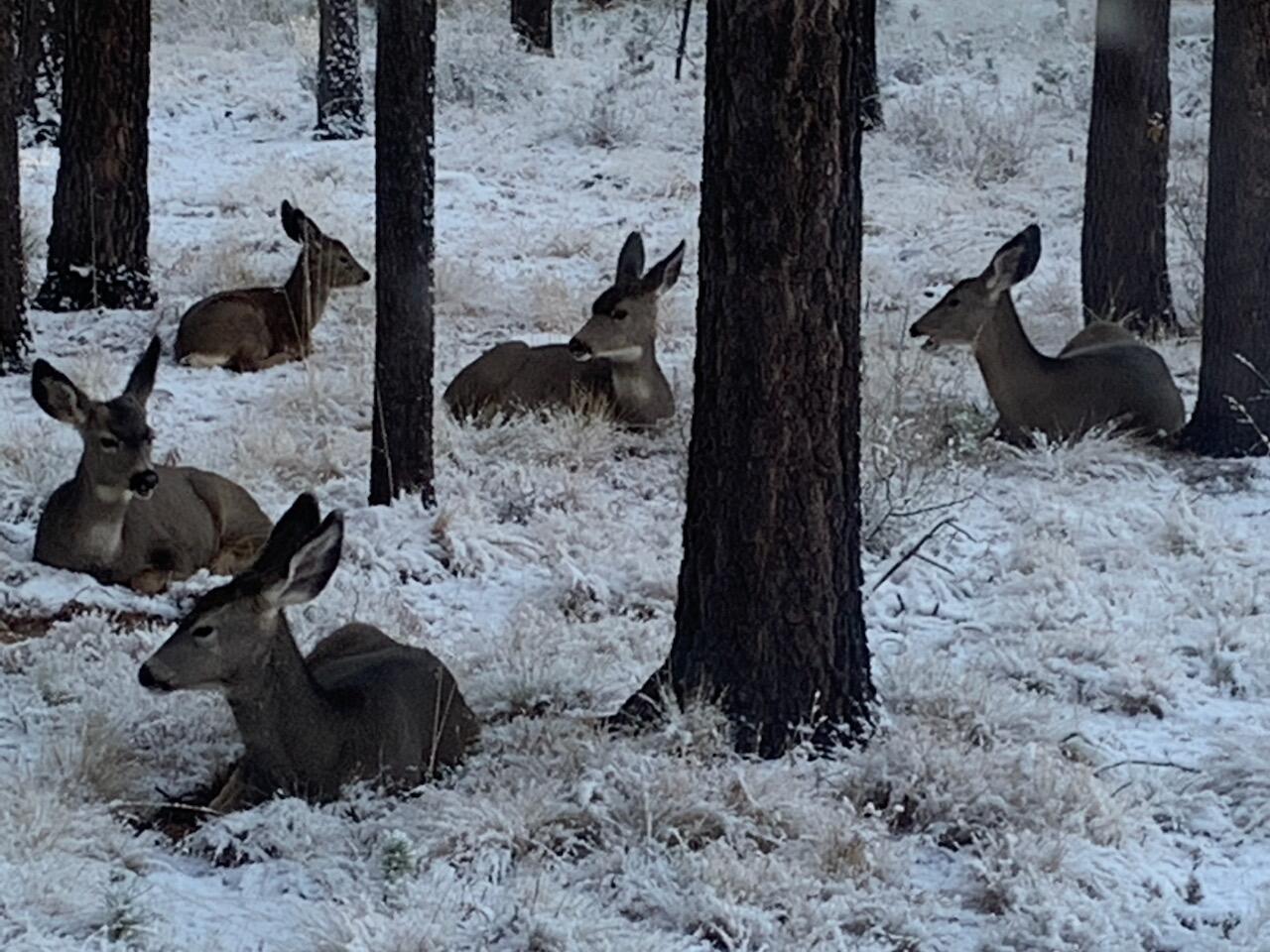 River Village - Residential