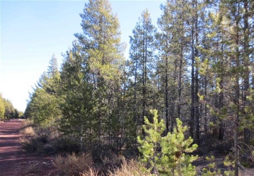 Level Parcel In The Pines, Good Roads, Power And Phone Available. Ideal For A Cabin Or Home For Year-round Living. Great Location Just Off Of Hwy 97 Between Klamath Falls And Bend. Area Has Good Water. Fishing And Hunting Nearby. Pictures Are Area Pictures On Scott View Rd.