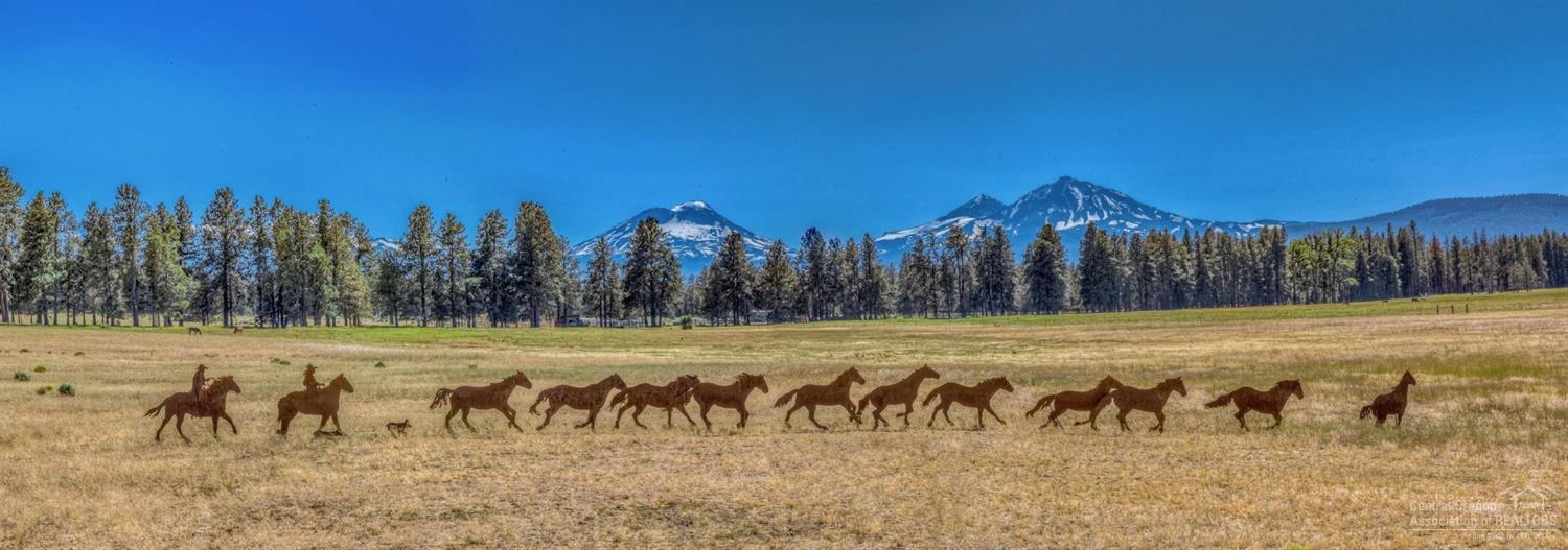 Coyote Springs - Land