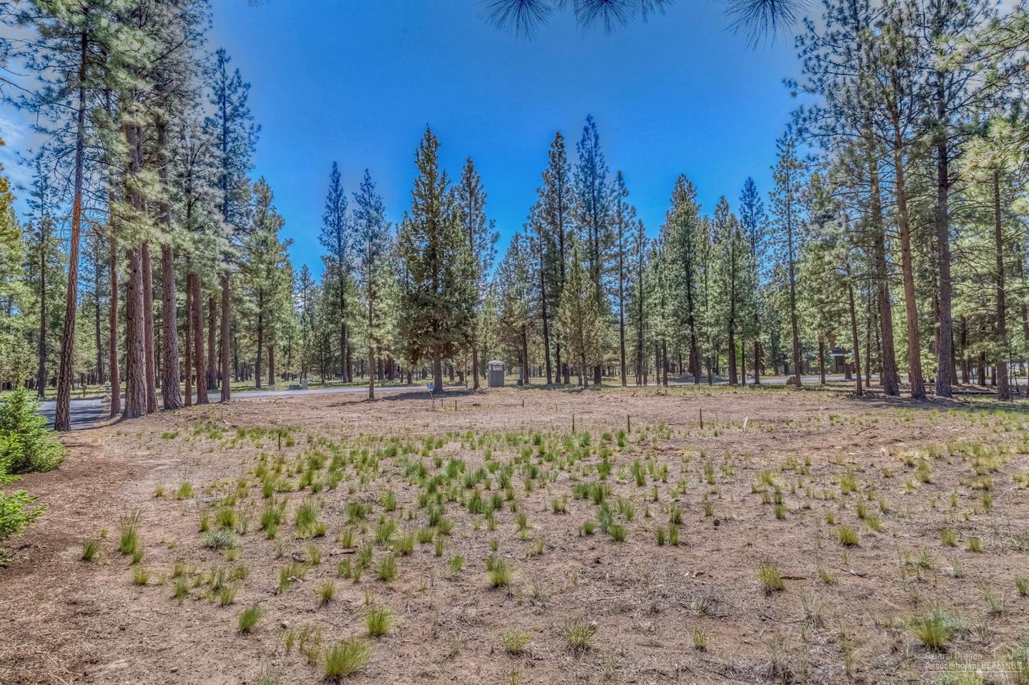 Coyote Springs - Land