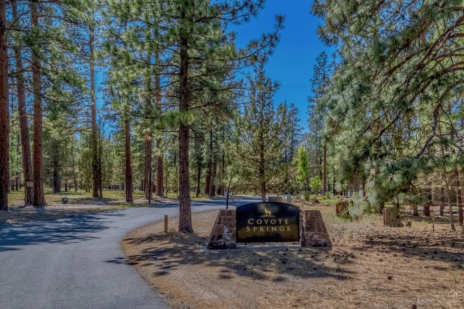 Coyote Springs - Land