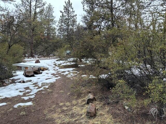 Klamath Falls Forest Estates -Hwy 66 Unit -Plat No. 1 - Land